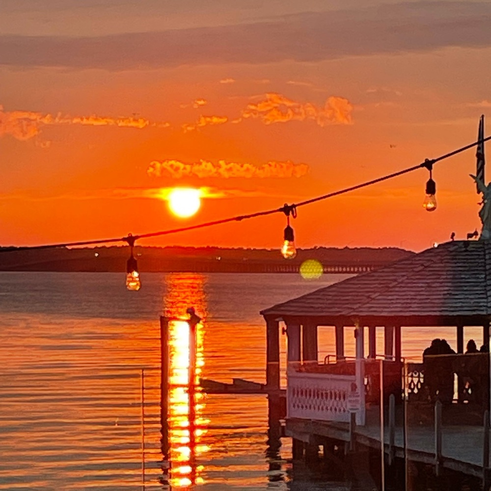 Meet your Posher, Darlene